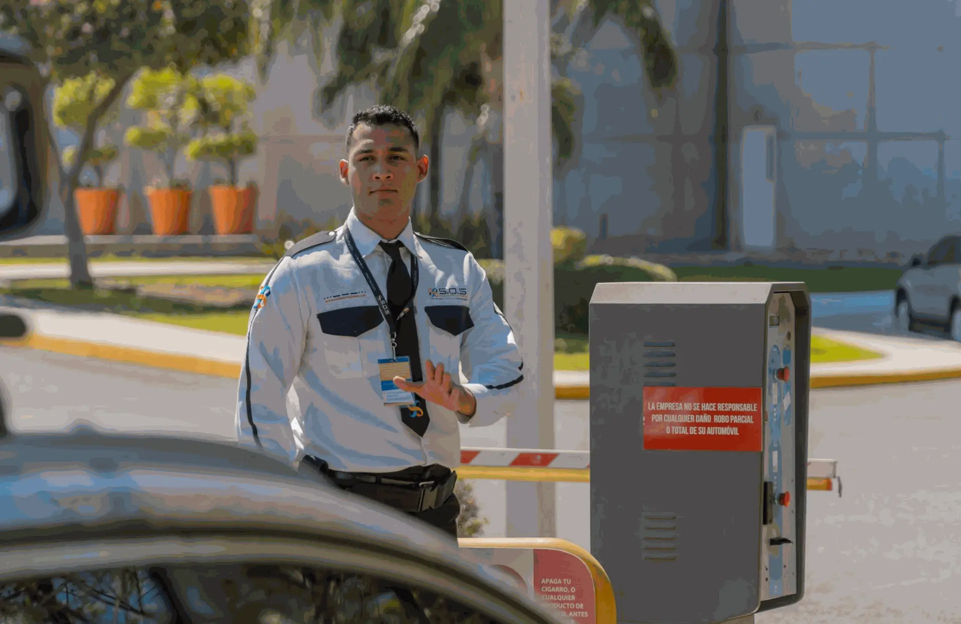 Guardia de seguridad privada profesional