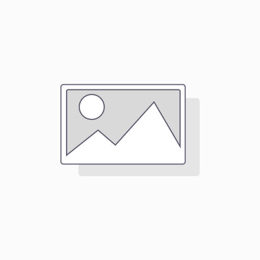MEMORIA FLASH SD KINGSTON SDXC CANVAS GO PLUS 256GB 200MB/S C10 UHS-I U3 V30 (SDG4/256GB)